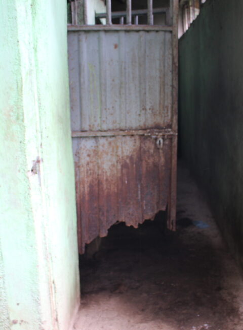 IMG_5310 IMG_5310