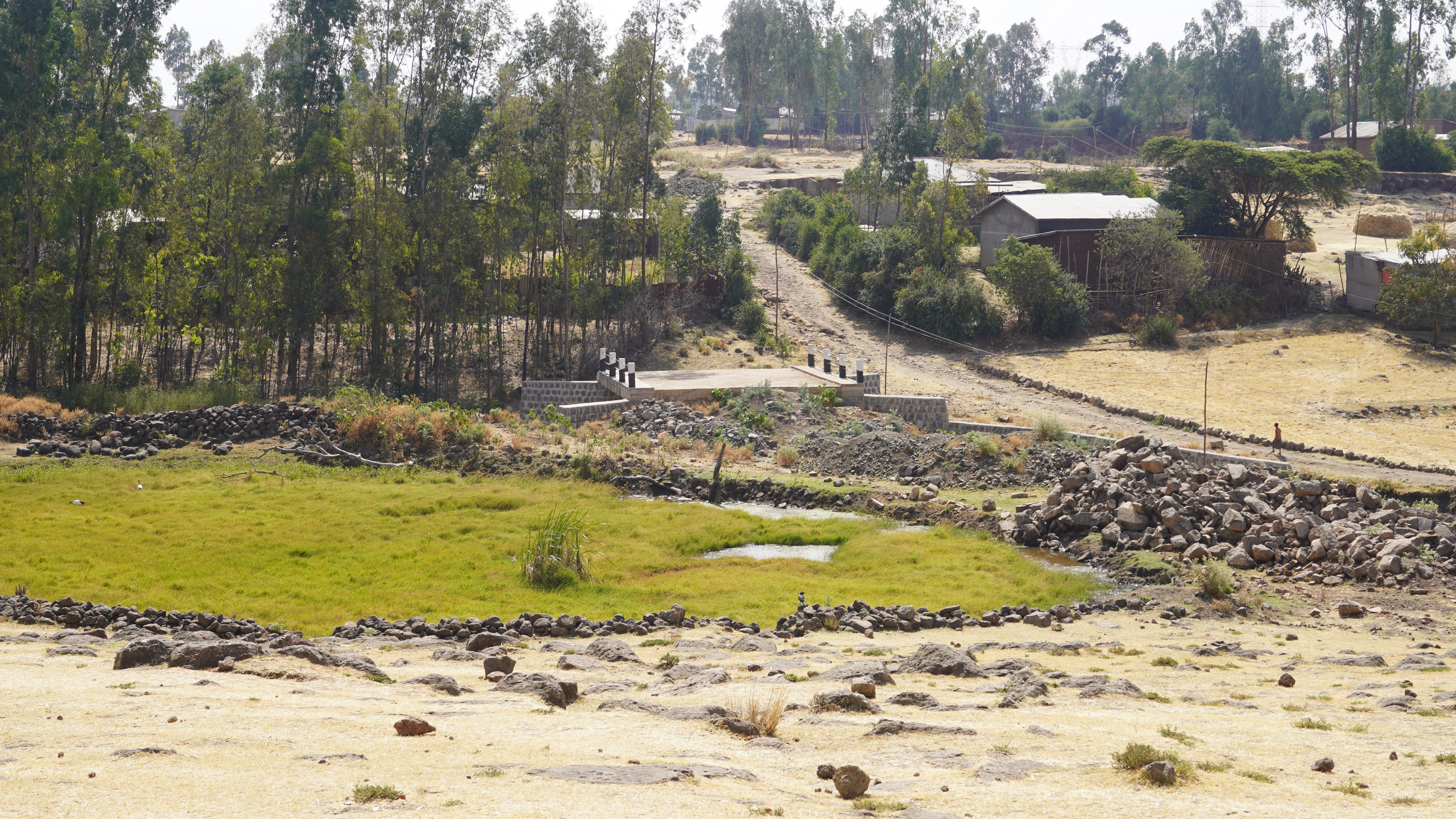 Ethiopian Child Sponsorship, Strengthening a Family